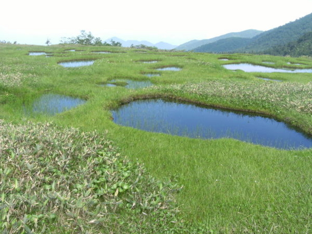 弥陀ヶ原