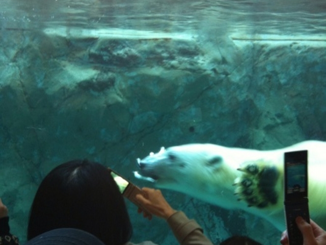 ���R������