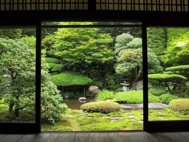 Ȃ낤̑可RƂ̓eʐ^1