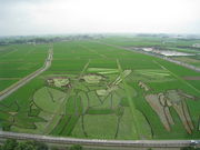 hana̍sc^[EÑ@ق̓eʐ^1