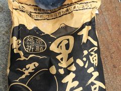 ��̊ē���̋ʎq�����ւ̓��e�ʐ^1