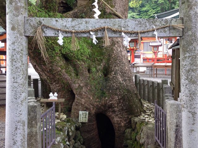 �F��ߒq���