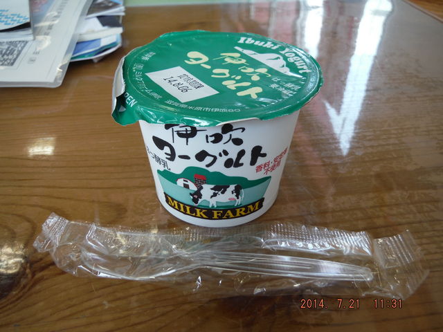 ふるさと納税 伊吹牛乳のアイスクリーム9個セット年4回お届け 滋賀県米原市