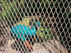 ���l����̌������ւ̓��e�ʐ^1