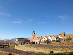 ݂N̎Rt[Z^[EnCW̑ւ̓eʐ^1