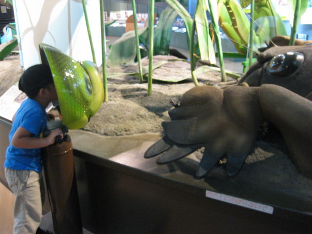 ���̖ڂɂȂ��Ă݂悤�I_�����s������