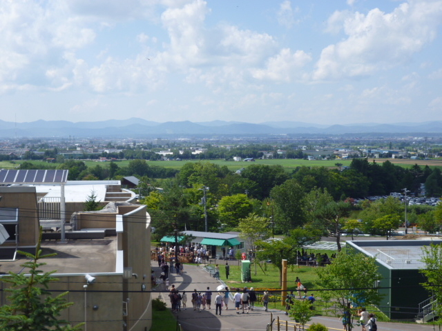 �L��ȏꏊ�ɂ��铮�����B�����A��ɂȂ��Ă�̂ł����^���ɂ��Ȃ�܂��B_���R������