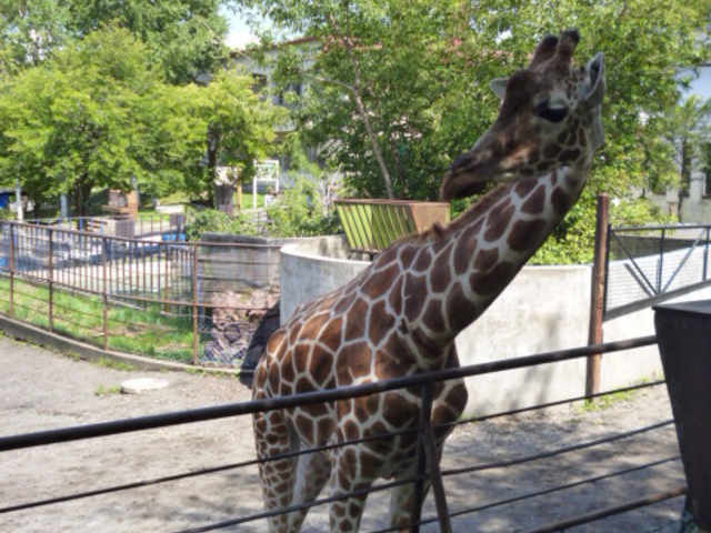 �L��������_���R������