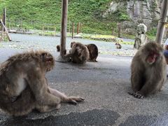 milk7̔g胂L[xCւ̓eʐ^1