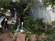 񂿂񂳂̋󒆎Uق̓eʐ^1