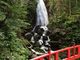みちひろさんの不動の滝（岩手県八幡平市）の投稿写真1