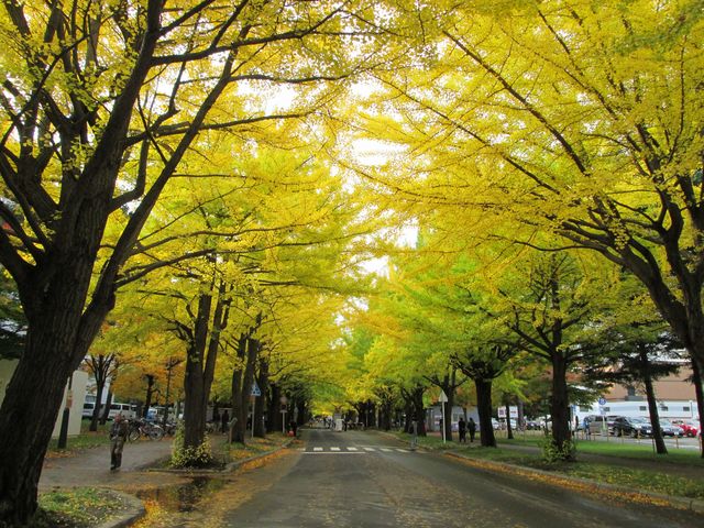 ��ǂ��A�������񗎂��Ă��܂����B_�k��C�`���E����