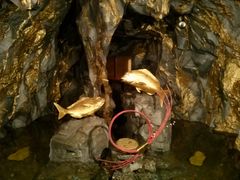 鯛生金山の写真一覧 - じゃらんnet