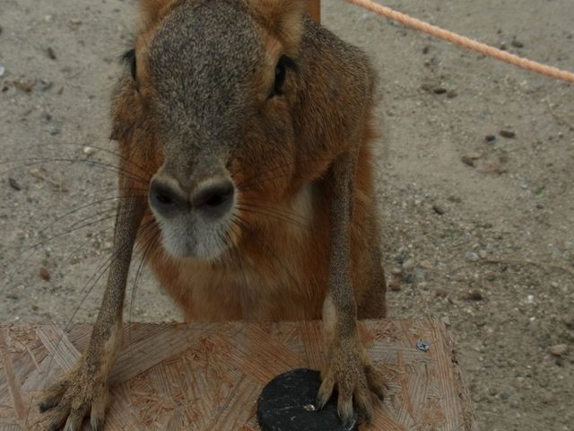 �}�[���ł��B�������B_���m�q��