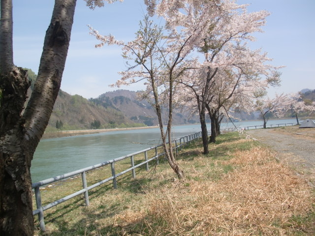 ��ɍ����f���܂��I_������