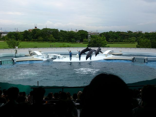 �C���J�V���[_���s������