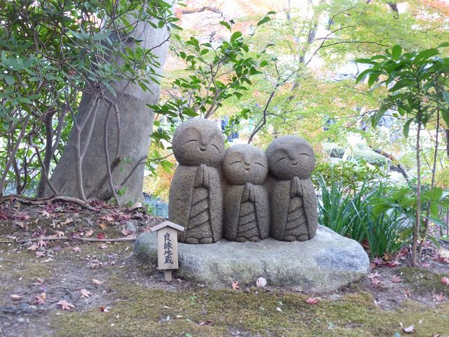 ���킢��_���J��