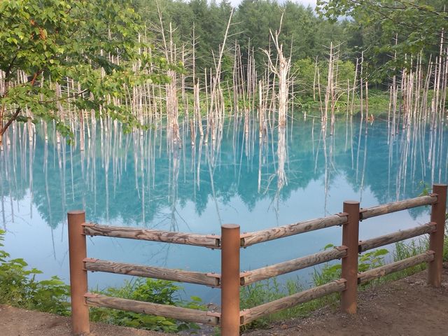 �Y��Ȑ�_���r