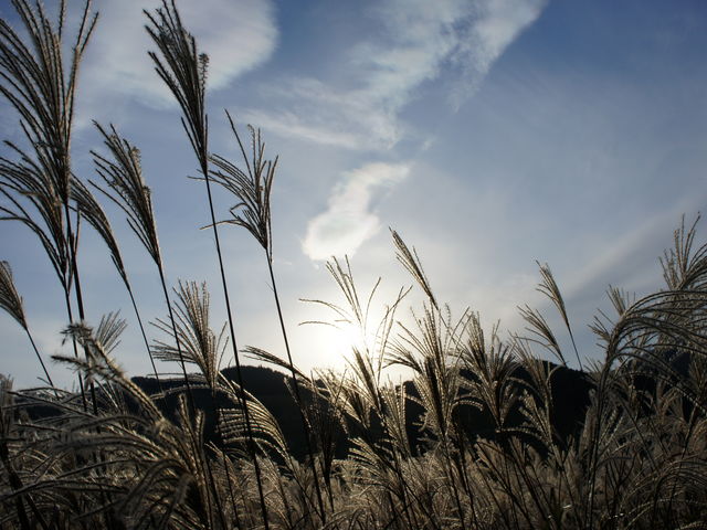 �ق��ɂ����Ƃ����ʐ^������̂ł����A�掿�������čڂ���܂���ł����B�B_�u�􍂌�