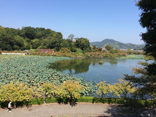 �ʐ^�ɂ͎ʂ��Ă܂��񂪃X�����{�[�g���傫�Ȋ���������܂����B_�@�؎��r����