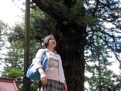 ger531さんの八幡神社の逆杉の投稿写真1