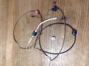 ���΂���񂳂�َ̊R�̌��H�[�̓��e�ʐ^1