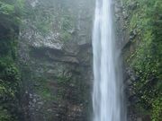 �_�C�������h�K�X�g����̒Ŕ���E���|��̓��e�ʐ^1