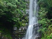 �_�C�������h�K�X�g����̒Ŕ���E���|��̓��e�ʐ^2