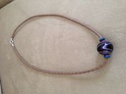 ���΂���񂳂�َ̊R�̌��H�[�̓��e�ʐ^2