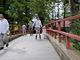 ger531さんの八幡神社の逆杉の投稿写真3