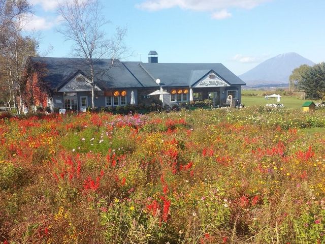 ���[�N�q���t�@�[��