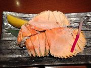 circuŝȎs ։wOX̓eʐ^5