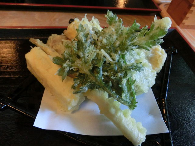 �V�Ղ�_���Ώ��ȉ�