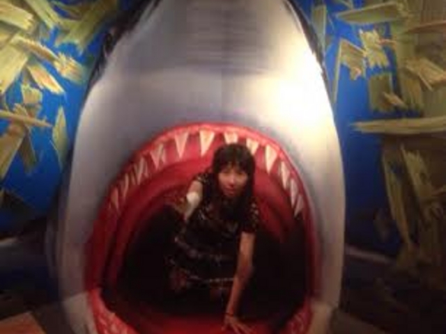 TɐHׂ?_l吢EA[gbN~[WA