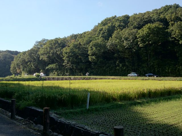 【寺家ふるさと村】アクセス・営業時間・料金情報