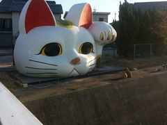 �Ƃ��Ȃߏ����L�ʂ�̎ʐ^1