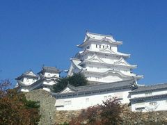 今しか見れない白い城 姫路城の口コミ じゃらんnet