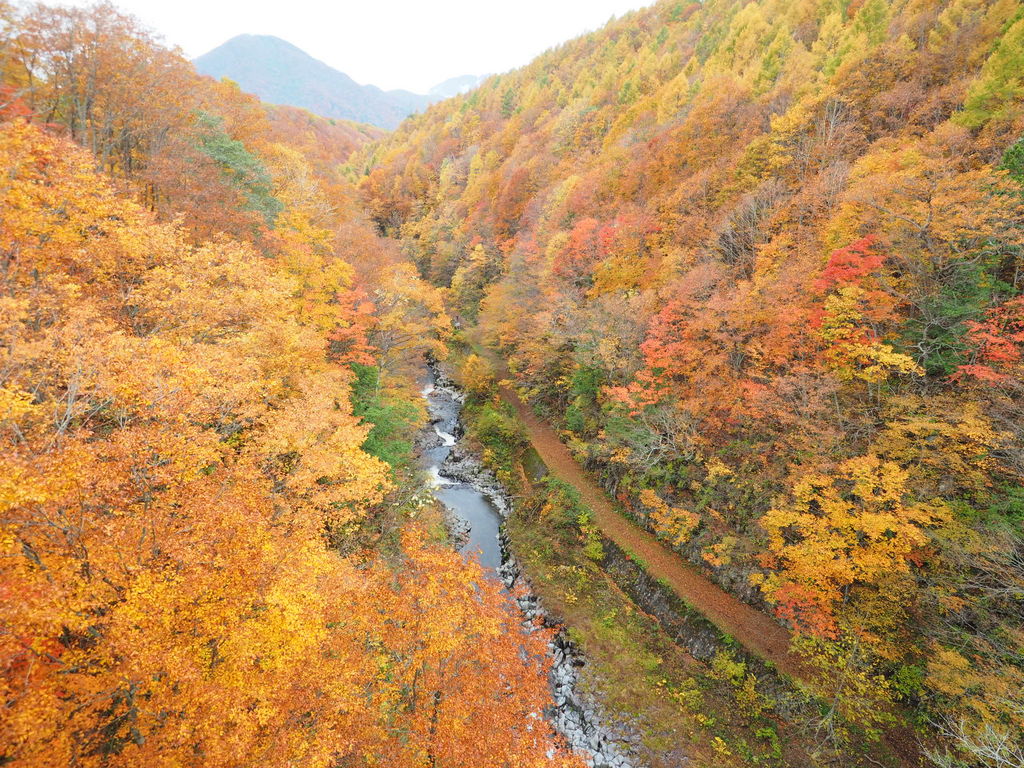 全国 絶景渓谷23選 夏の避暑や秋の行楽におすすめの美しい紅葉スポットも じゃらんニュース