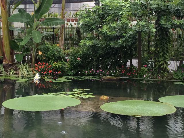 ��I�j�o�X_�M��o�i�i���j��