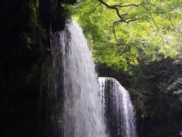 �������B�������̈ꖇ�ł��B�l�������B��̂���ςł����B_�烖������@�@���E�F�u����̎��O�\�񐧂ɂ������ƂȂ��Ă���܂��B