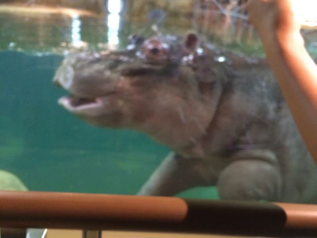 ���΁B_���R������