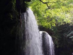 烖@@EFu̎O\񐧂ɂƂȂĂ܂B̎ʐ^1