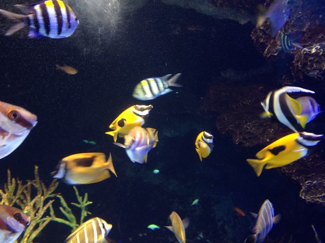 ���s������