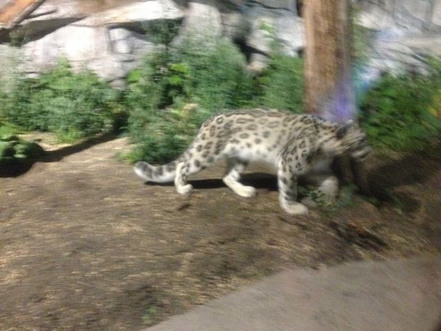 �~�R������