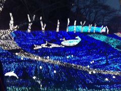 Ȃ݂̂݌΃][g vW[tHXgւ̓eʐ^1