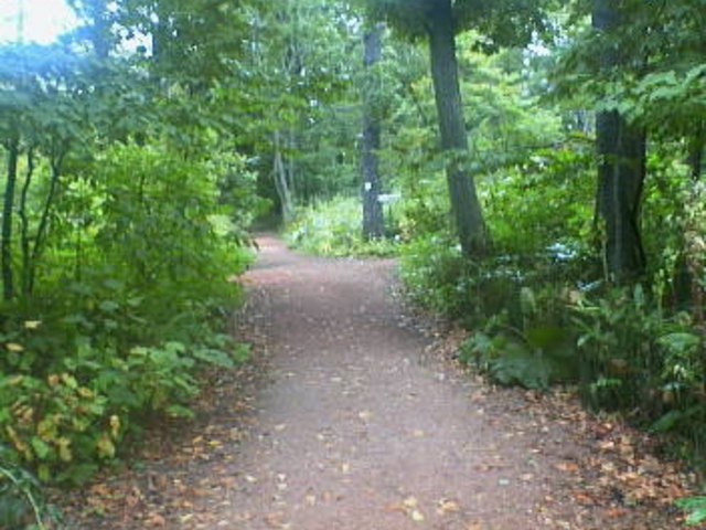 �~�n��_�k�C����w�A����