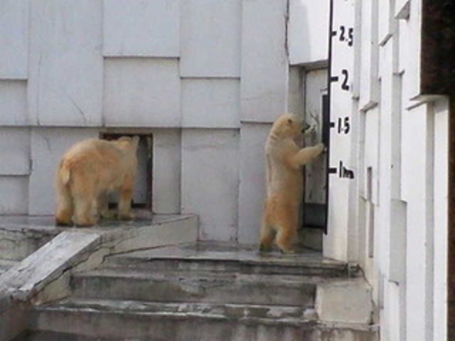 ���F���񑫂ŗ����Ă��܂����B_�~�R������