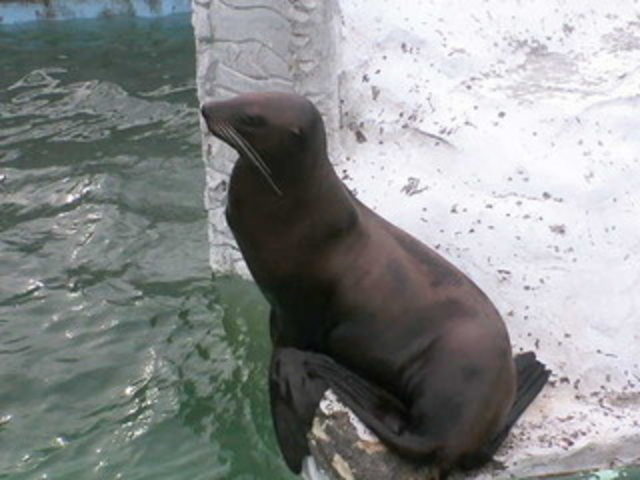 �[�j�K�^�A�U���V_�~�R������