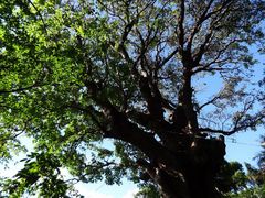 ͂܂肳̎񗢋钬̑AJMւ̓eʐ^1