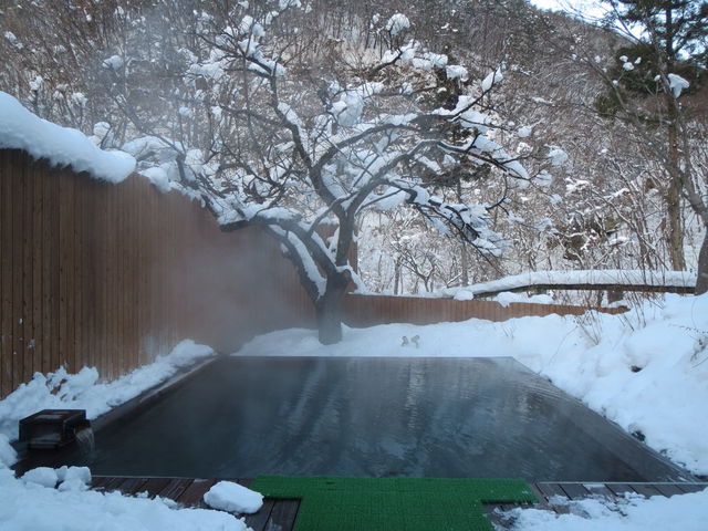 ������єT���I�V_�R�̐_����@�D����